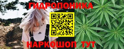 мдпв Гай