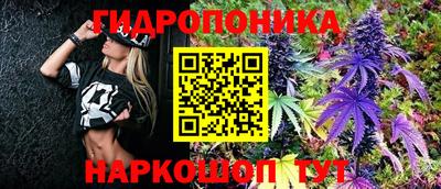мдпв Гай