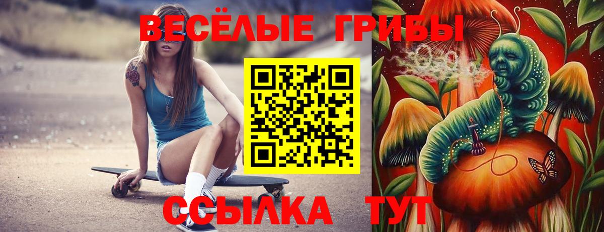 закладка  Вход с VPN  Сафоново  Галлюциногенные грибы Magic Shrooms 