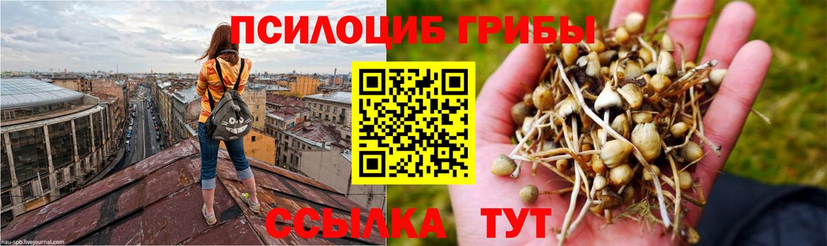 Псилоцибиновые грибы MAGIC MUSHROOMS Сафоново